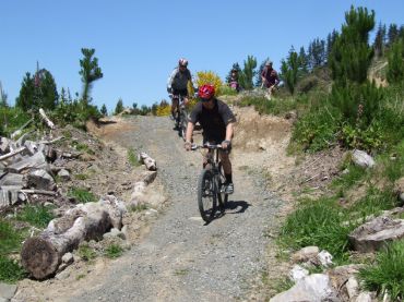 Carterton Mountain Biking Track