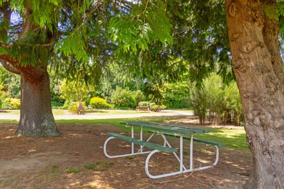 Tent Sites picnic table